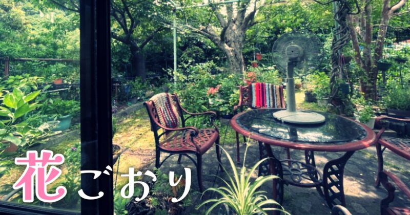 【東伊豆・花ごおり】お庭は緑いっぱい！片瀬白田で隠れ家カフェ見つけたっ♪〈ちゅんころもちレポート〉